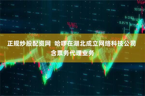 正规炒股配资网  哈啰在湖北成立网络科技公司 含票务代理业务