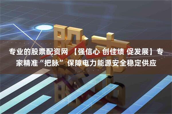 专业的股票配资网 【强信心 创佳绩 促发展】专家精准“把脉” 保障电力能源安全稳定供应